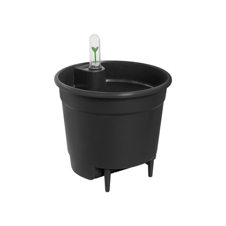 Livraison plante Pot réservoir d'eau noir d33cm