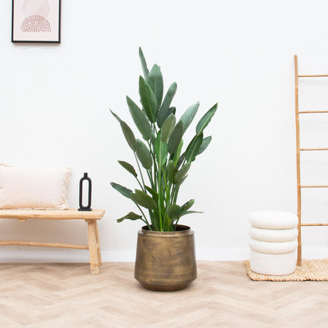 Livraison plante Pot Vintage Indigo Or 58 cm