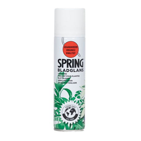 Livraison plante Spray brillant pour plante - 750 ml