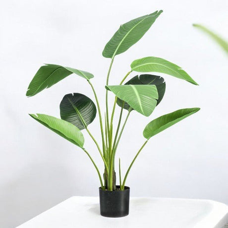 Livraison plante Strelitzia nicolai artificiel