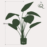 Livraison plante Strelitzia nicolai artificiel