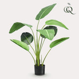 Livraison plante Strelitzia nicolai artificiel