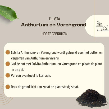 Livraison plante Terreau pour Anthuriums et fougères - 5L