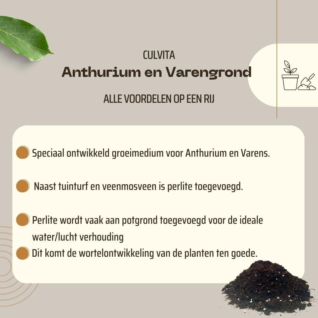 Livraison plante Terreau pour Anthuriums et fougères - 5L