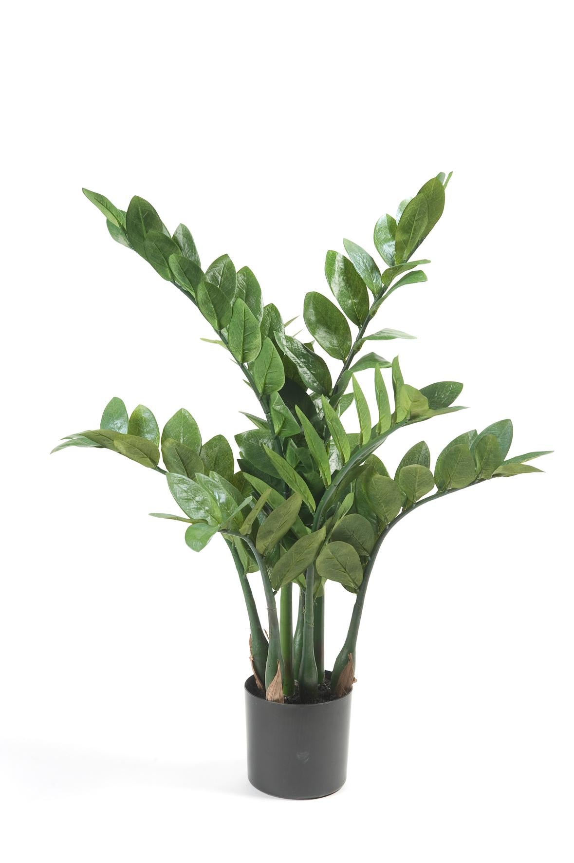 Livraison plante Zamioculcas plante artificielle - h70cm, Ø12cm