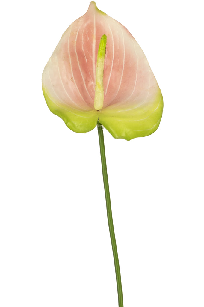 Anthurium rosa artificial