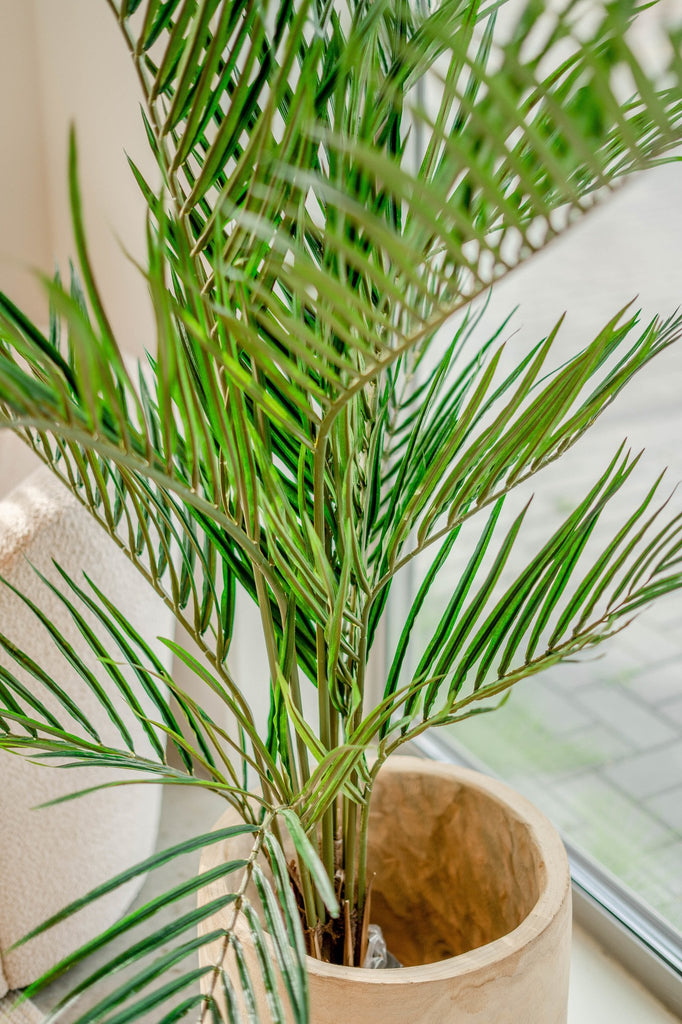 Areca - Palmera artificial