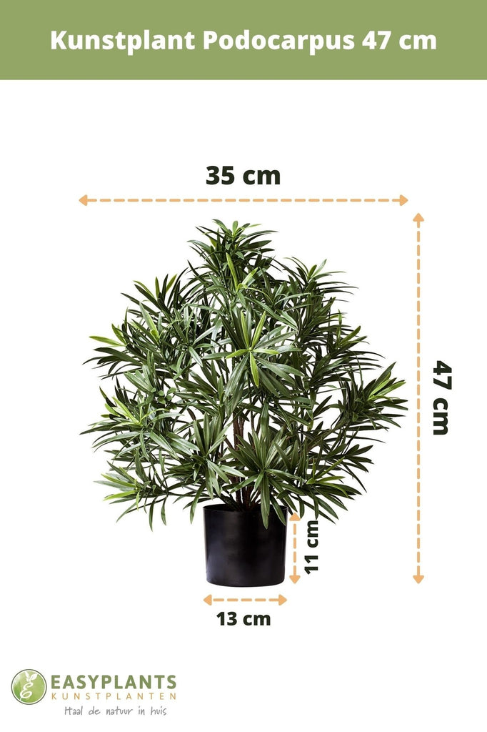 Podocarpus - Planta Verde Artificial