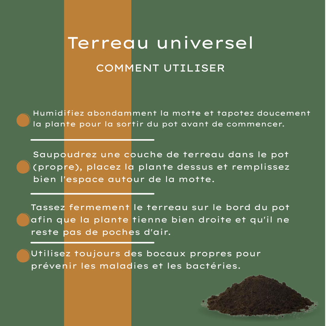 Tierra Universal 30 Litros Comprar – Para Plantas de Interior y Exterior