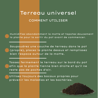 Tierra Universal 30 Litros Comprar – Para Plantas de Interior y Exterior