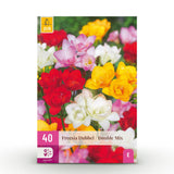 Freesia double en mélange - calibre 5/+