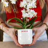 Coffret Love You - orchidée Congo rouge et plante verte en cache-pots - H 35 cm