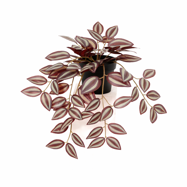Tradescantia plante artificielle