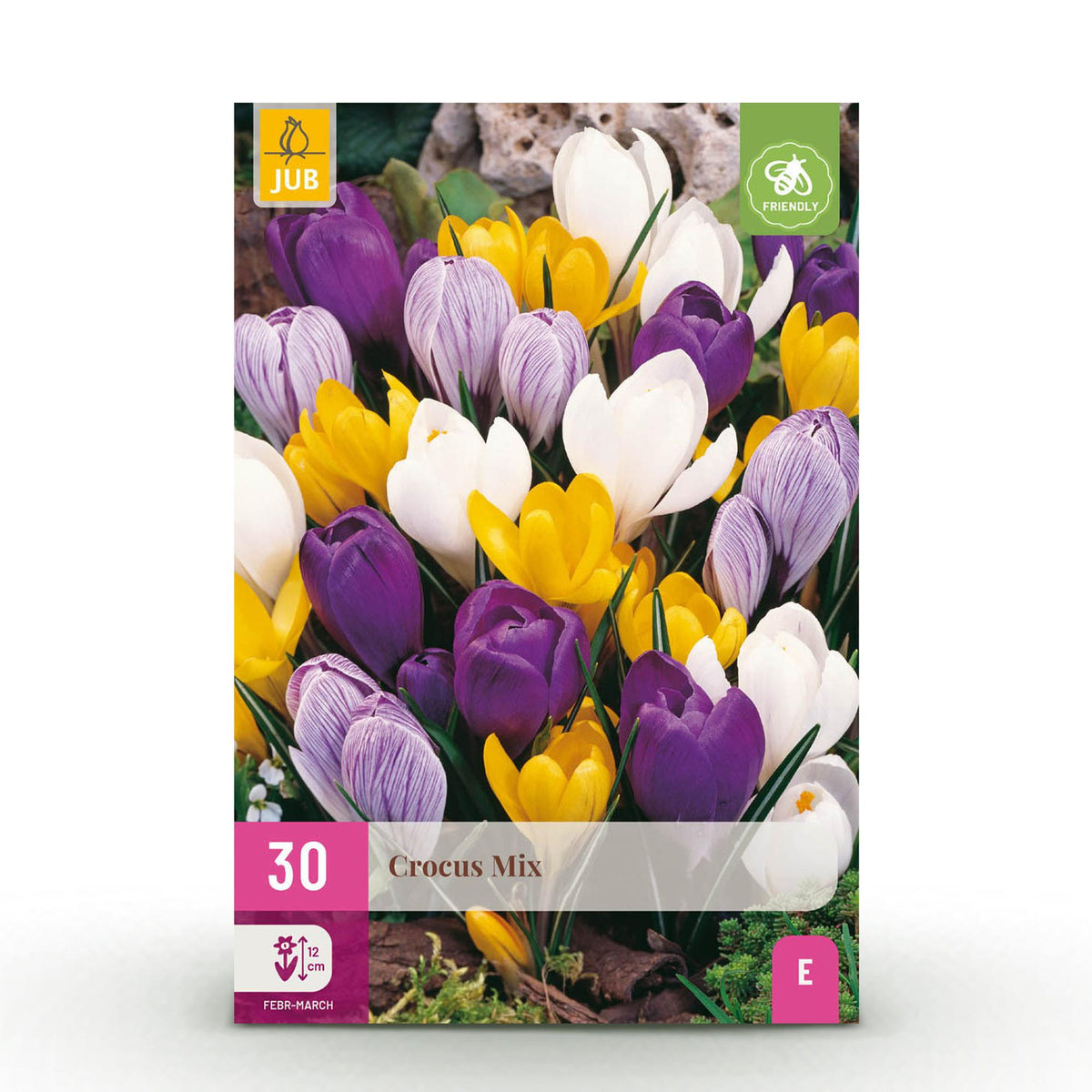Crocus à grandes fleurs en mélange - calibre 7/8