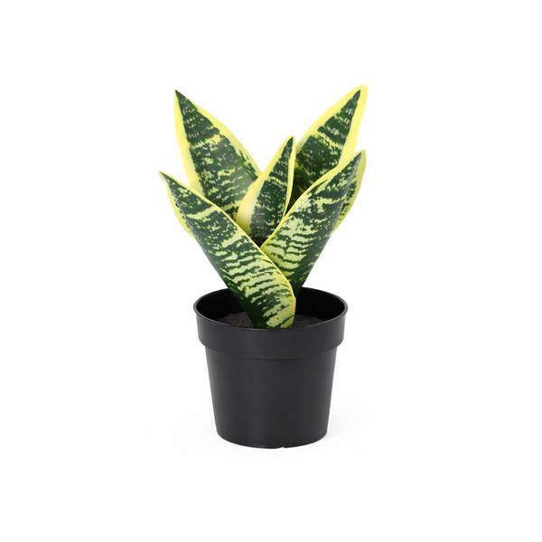 Sansevieria Laurentii plante artificielle
