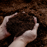 Tierra Universal 30 Litros Comprar – Para Plantas de Interior y Exterior