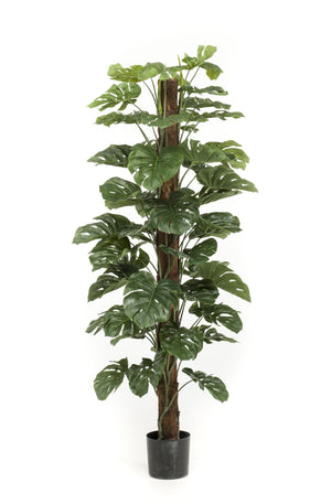 Monstera Deliciosa plante artificielle