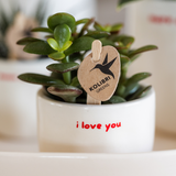 Coffret Love You - orchidée Congo rouge et plante verte en cache-pots - H 35 cm