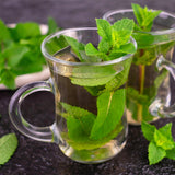 Kit de vivaces aromatiques à tisane - 8 plants pour 1 m² - H 25 cm, pot Ø11 cm