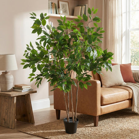 Ficus Benjamina plante artificielle