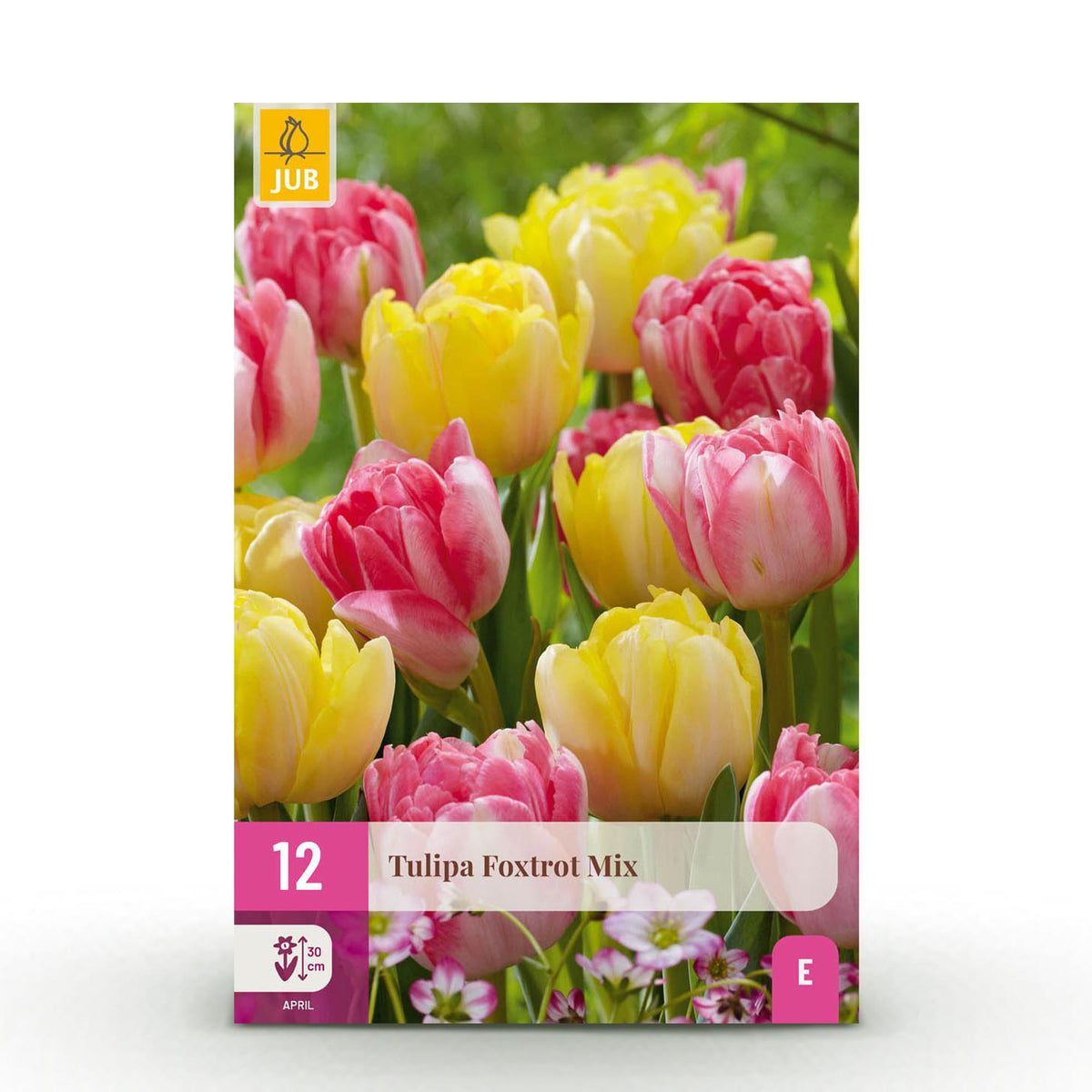 Tulipe double Foxtrot en mélange - calibre 11/12
