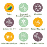 Kit de vivaces pour abeilles et papillons - 24 plants pour 3 m² - H 25 cm, pot Ø11 cm