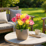 Tulipe double Foxtrot en mélange - calibre 11/12