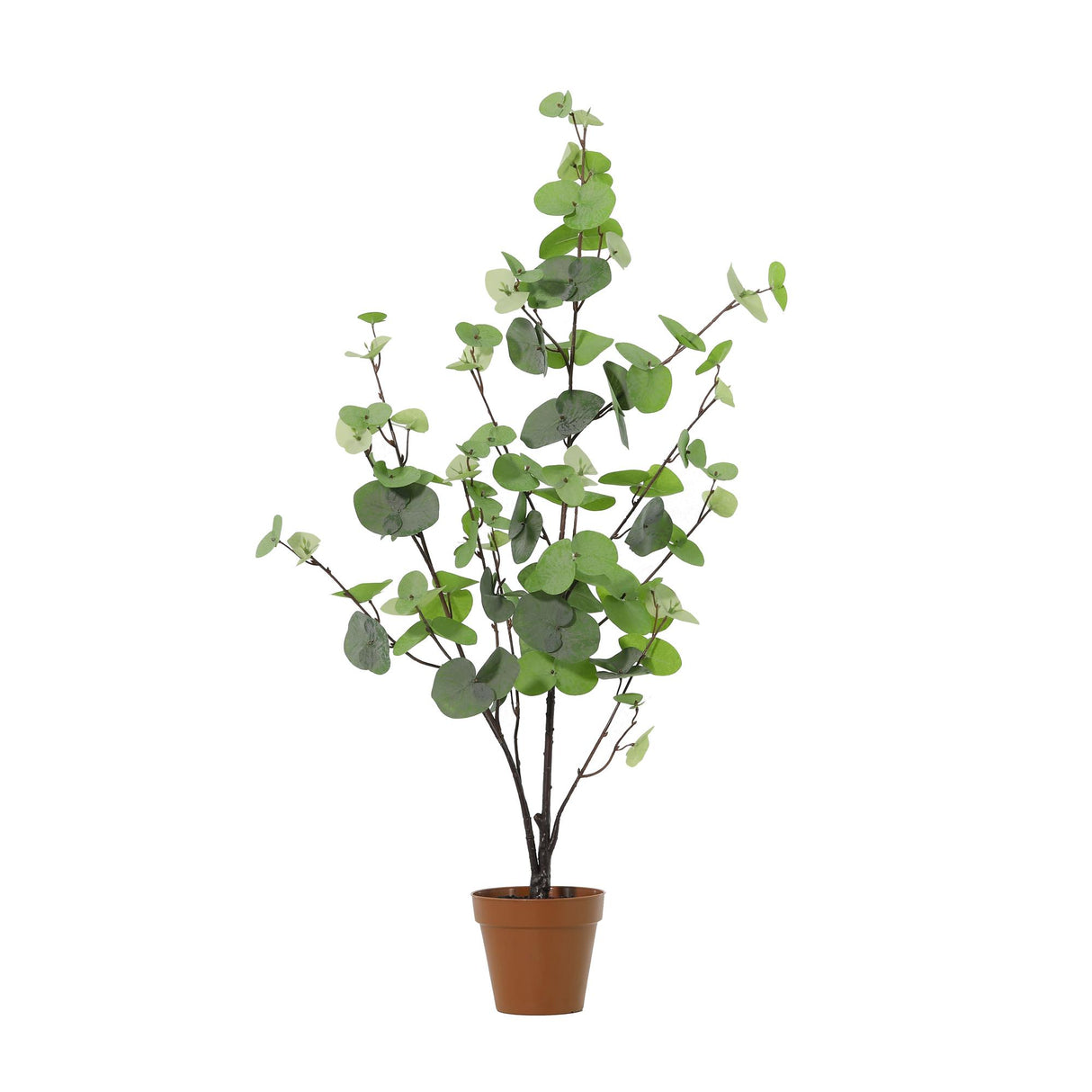 Eucalyptus vert plante artificielle