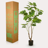 Planta de arte - Ficus umbellado - Mujer africana - 125cm