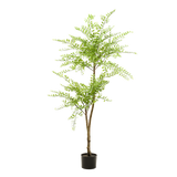Planta de arte - Árbol Sophora - Honingboom - 140cm