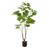 Planta de arte - Ficus umbellado - Mujer africana - 125cm