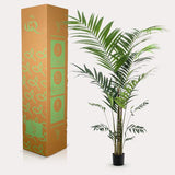 Planta de arte - Kentia -Kentiapalm - 210cm