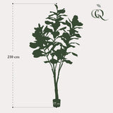 Kunstplant - Ficus Lyrata - Tabaksplant - 210 cm