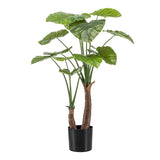 Planta de arte - Alocasia - Olifantsoor - 110cm