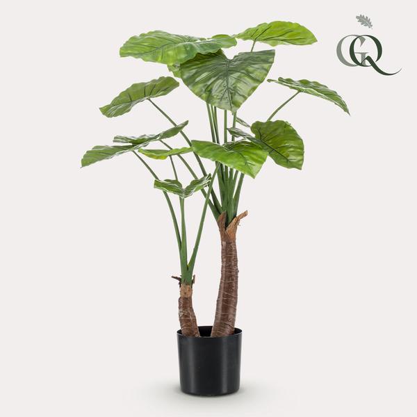Planta de arte - Alocasia - Olifantsoor - 110cm
