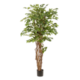 Planta de arte - Ficus liana - Vioolbladplant - 170cm