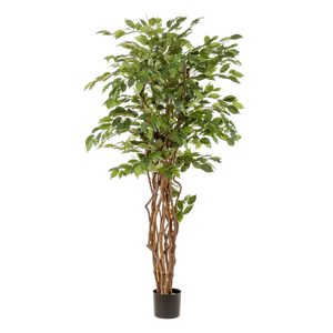 Planta de arte - Ficus liana - Vioolbladplant - 170cm