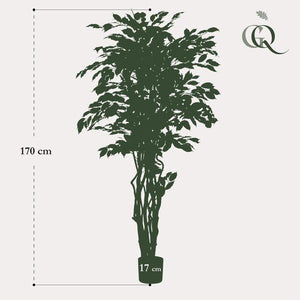 Planta de arte - Ficus liana - Vioolbladplant - 170cm