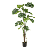 Planta de arte - Monstera - Planta de jardín - 180cm