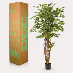 Planta de arte - Ficus liana - Vioolbladplant - 170cm