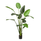 Planta de arte - Strelitzia Nicolai - Paradijsvogelbloem - 230cm