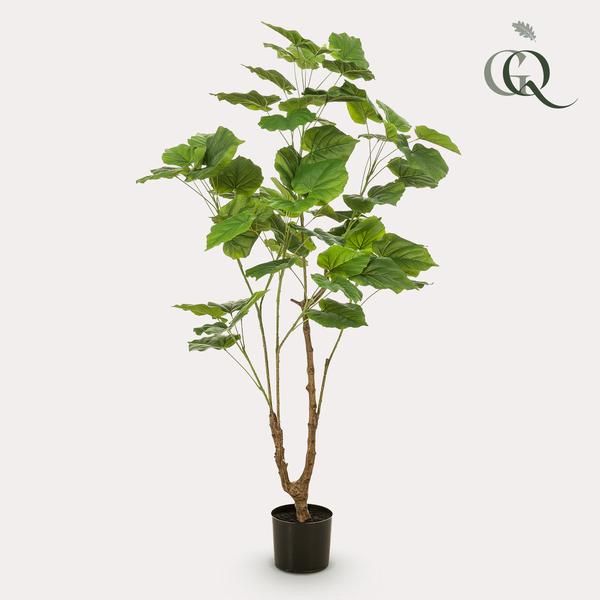 Planta de arte - Ficus umbellado - Mujer africana - 125cm