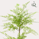 Planta de arte - Árbol Sophora - Honingboom - 140cm