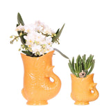 Orquídeas Colibrí | Conjunto de orquídeas y suculentas Nazaré blancas en maceta pez naranja - tamaño maceta Ø9cm y Ø6cm | Planta de interior con flores: hacia el kweker