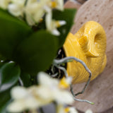Compañía Kolibri | Set de regalo Atardecer Mediterráneo | Conjunto de plantas con orquídea Phalaenopsis blanca Lausanne y suculentas incl. piedras de cerámica