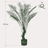 Planta de arte - Boomvaren - x15 -1 25cm