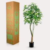 Planta de arte - Pachira Aquatica - Geldboom - 180 cm
