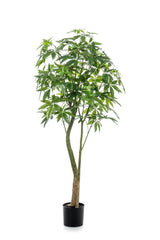 Planta de arte - Pachira Aquatica - Geldboom - 180 cm