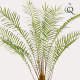 Planta de arte - Boomvaren - x15 -1 25cm