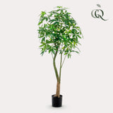 Planta de arte - Pachira Aquatica - Geldboom - 180 cm
